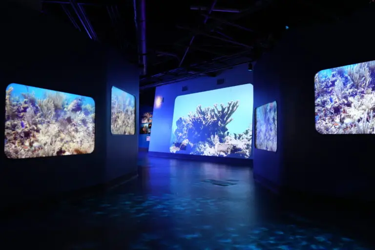 The Dive at Frost Science Museum &mdash; six-screen 4K immersive underwater walkthrough
